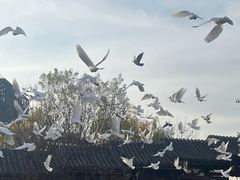-董永七仙女文化园