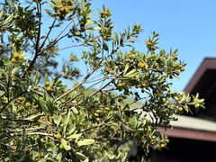 -宝岩生态观光园