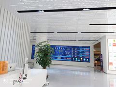 -珍岛信息技术（上海）股份有限公司