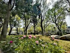 -唐城墙遗址公园