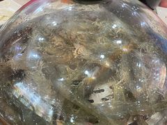 -王潮活海鲜自助·蒸汽海鲜