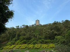 -深圳国际园林花卉博览园