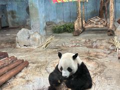 -海南热带野生动植物园