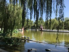 -丰台花园