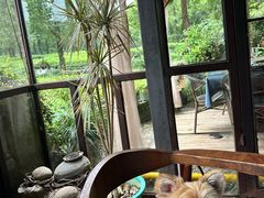 -野蔓果·山野菜(西湖景区·龙井茶田店)