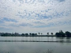 -西山漾湿地公园