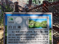 -广州白江湖森林公园