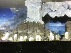 -成都浩海立方海洋公园