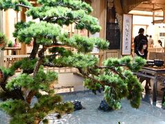 -田园印象·成都土菜院子(华阳店)