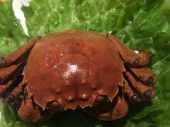 -鼎泰丰(当代商城店)