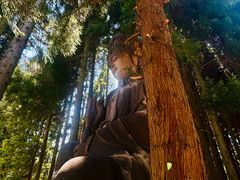 -武陵山森林公园