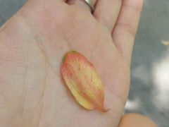 -山东大学学府大酒店(千佛山地铁站店)