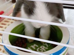 -龙猫仔乐园(惠福东路店)