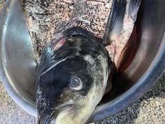 -好灶头妈妈菜·千岛湖土菜地标美食