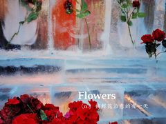 -万达广场(太原街店)