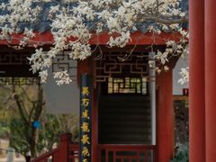 -堤角公园