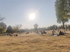 -盘龙城国家考古遗址公园