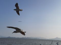 -深圳湾公园(南山区)