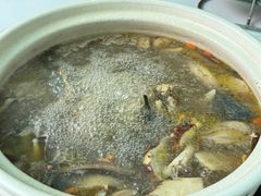 -蘑统田下·野生菌火锅