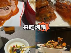-秀儿四九城·新京菜(亚运村鸟巢店)