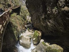 -鹿院坪生态旅游景区