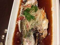 -西北石油酒店福粤中餐厅