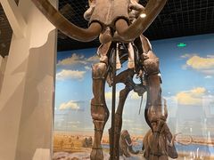 -国家自然博物馆