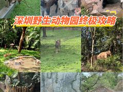 -深圳野生动物园