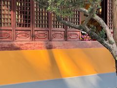 -龙华素斋(龙华路店)