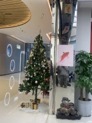 -YASAKI国际舞蹈中心