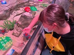 -沈阳海洋探索中心