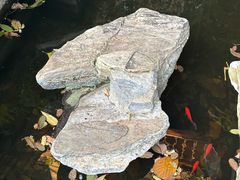 -谷咖啡·鲜花绿植花园餐厅