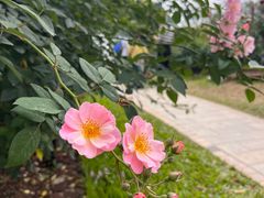 -人民公园(罗湖区)