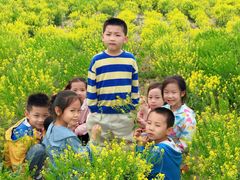 -天津武清北运河郊野公园房车露营地