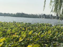 -石家庄市植物园