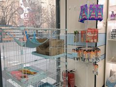 -中农国际动物医院24小时·猫科·骨科·急重症中心
