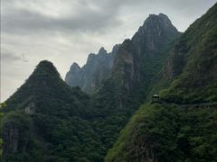 -圣淘沙天际线斜坡滑车