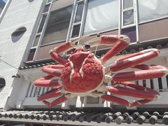 -SUGI杉药局(道顿堀东店)