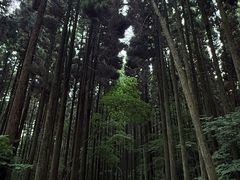 -上色见熊野座神社