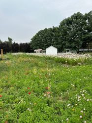 -DORA kids 朵拉儿童摄影花园店