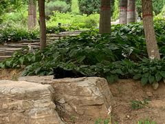 -燕郊植物园