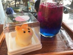 -柴犬高等学院·狗咖·柴犬售卖·宠物训练