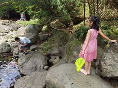 -白云源风景区