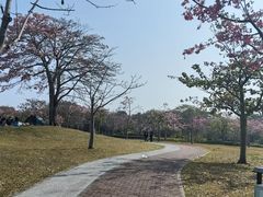 -风云岭森林公园