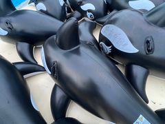 -热高乐园巴厘岛水世界
