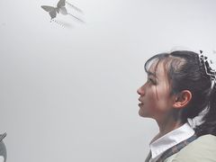 -成都失恋馆