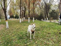 -中关村生命科学园