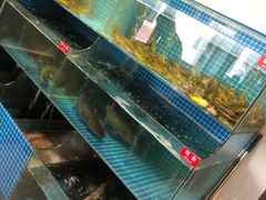 -大鹅岛灶台鱼·铁锅炖(水库路店)