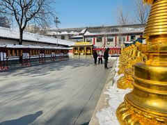 -护国法轮寺