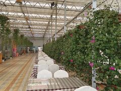 -名花谷生态庄园